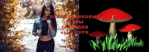 СК Алексеевка