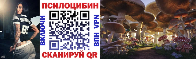 что такое Суджа Псилоцибиновые грибы MAGIC MUSHROOMS